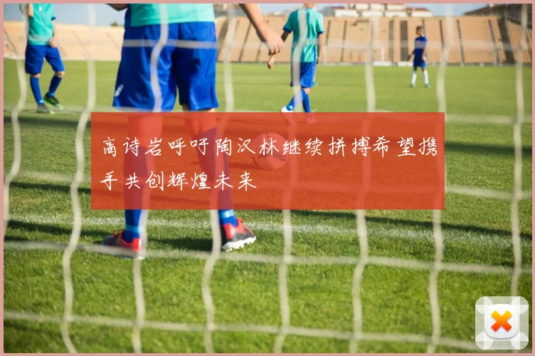 高诗岩呼吁陶汉林继续拼搏希望携手共创辉煌未来